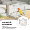 Acrylic Parrot Food Dispenser