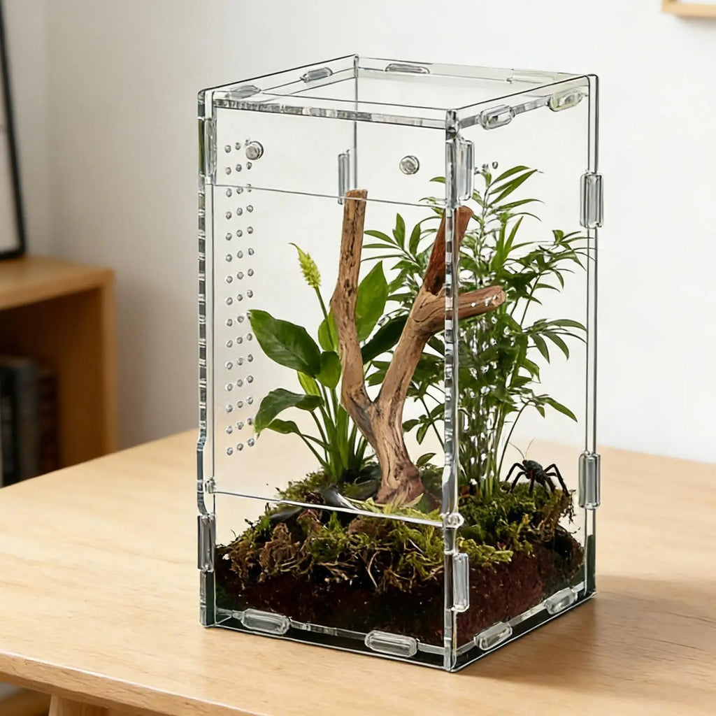Acrylic Reptile Enclosure for Insects