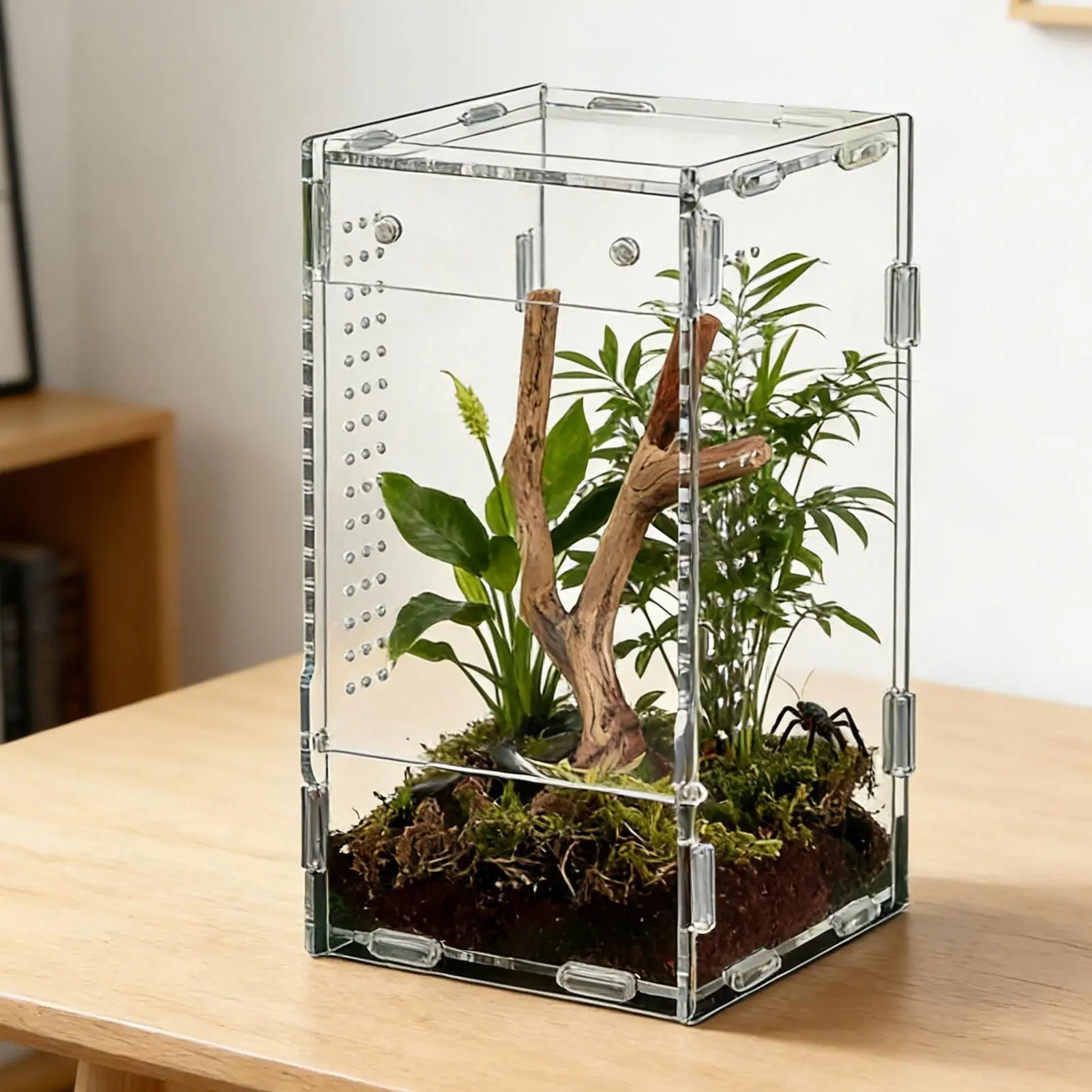 Acrylic Reptile Enclosure for Insects