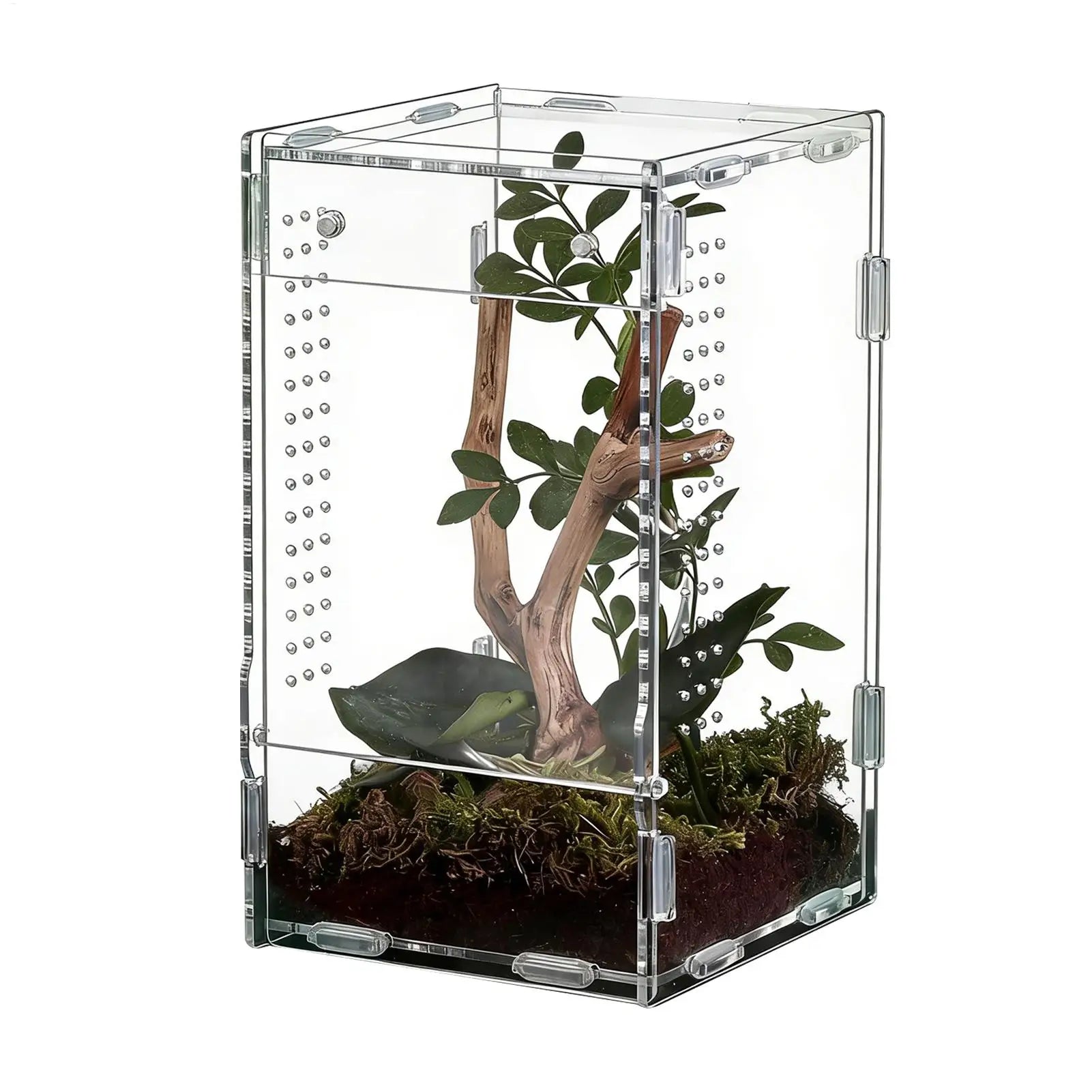 Acrylic Reptile Enclosure for Insects
