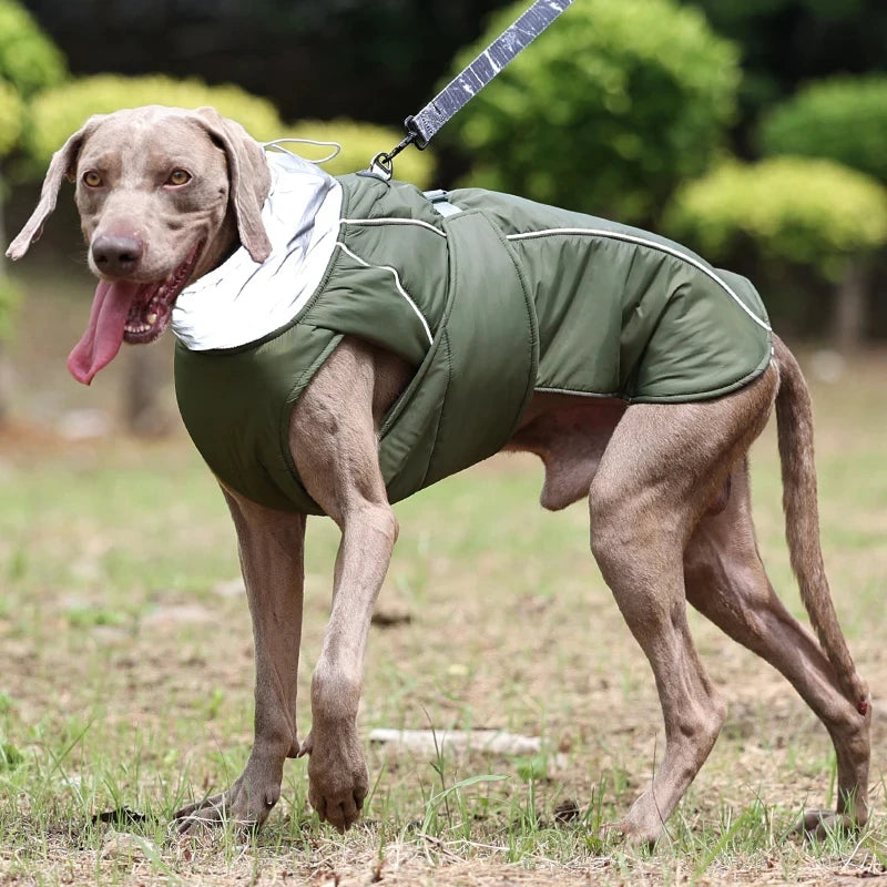Dog Luxury Winter Jacket for Dogs