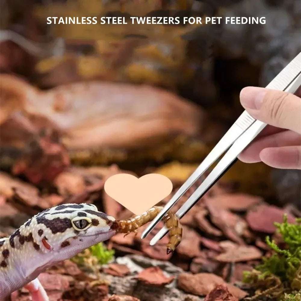 Stainless Steel Elbow Tweezers