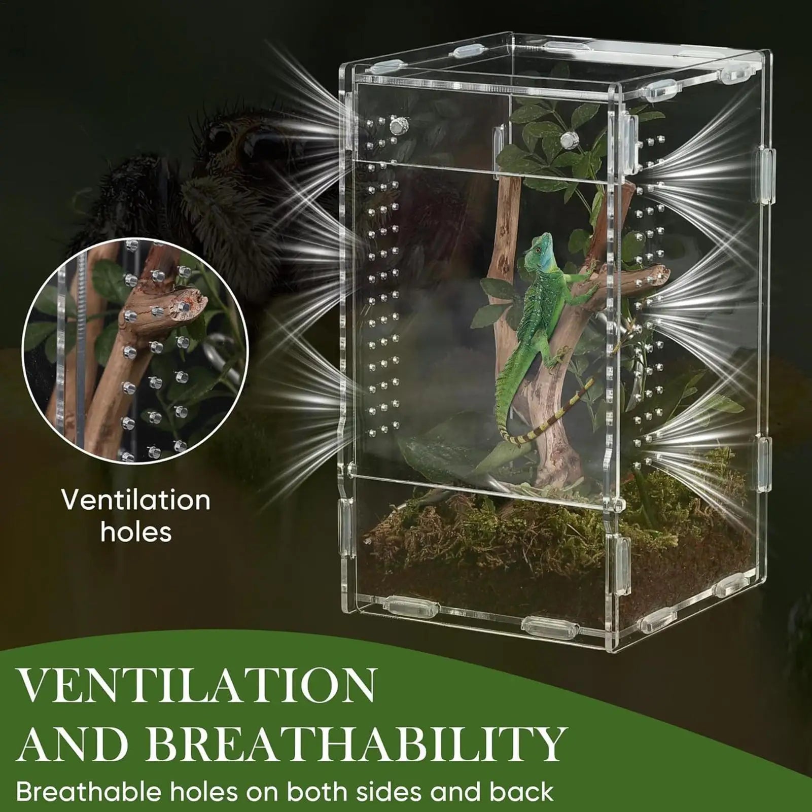 Acrylic Reptile Enclosure for Insects