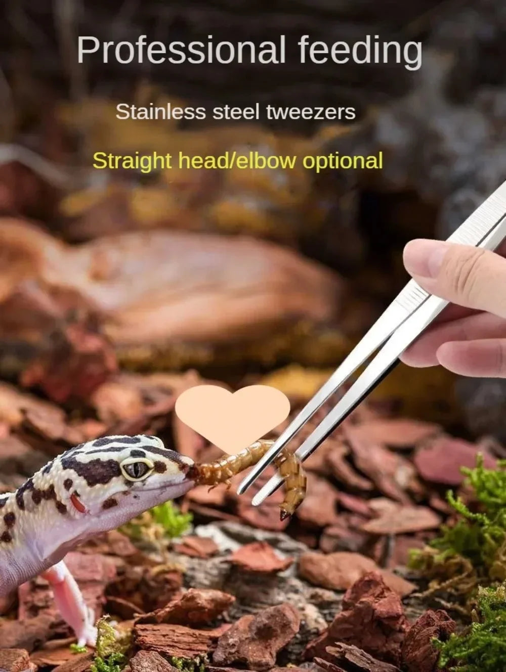 Stainless Steel Elbow Tweezers