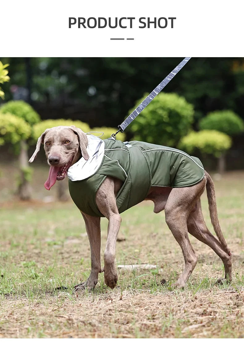Dog Luxury Winter Jacket for Dogs