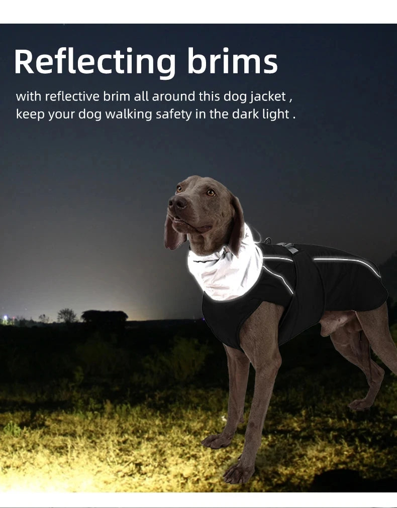 Dog Luxury Winter Jacket for Dogs
