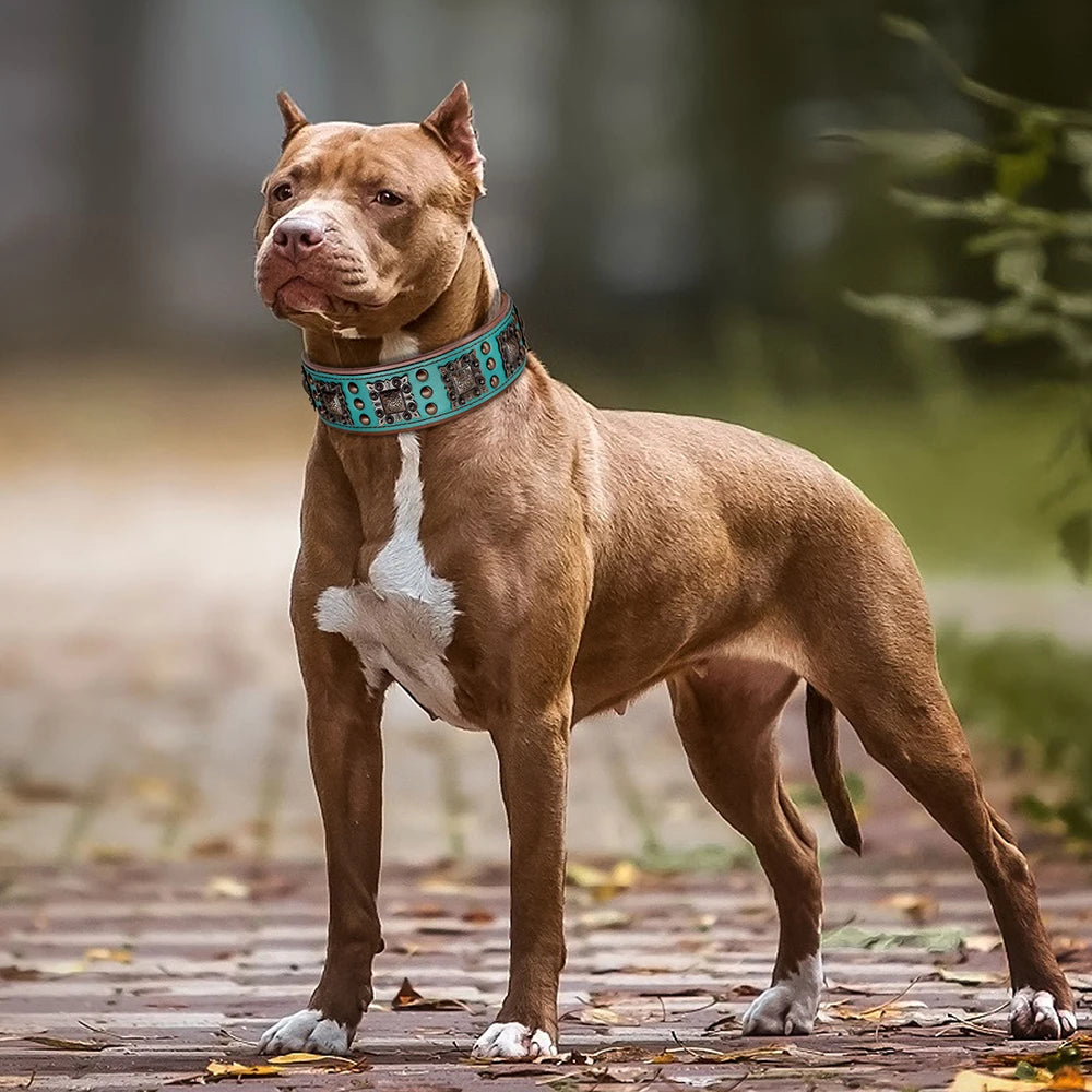 Genuine Leather Cool Spiked Dog Collar