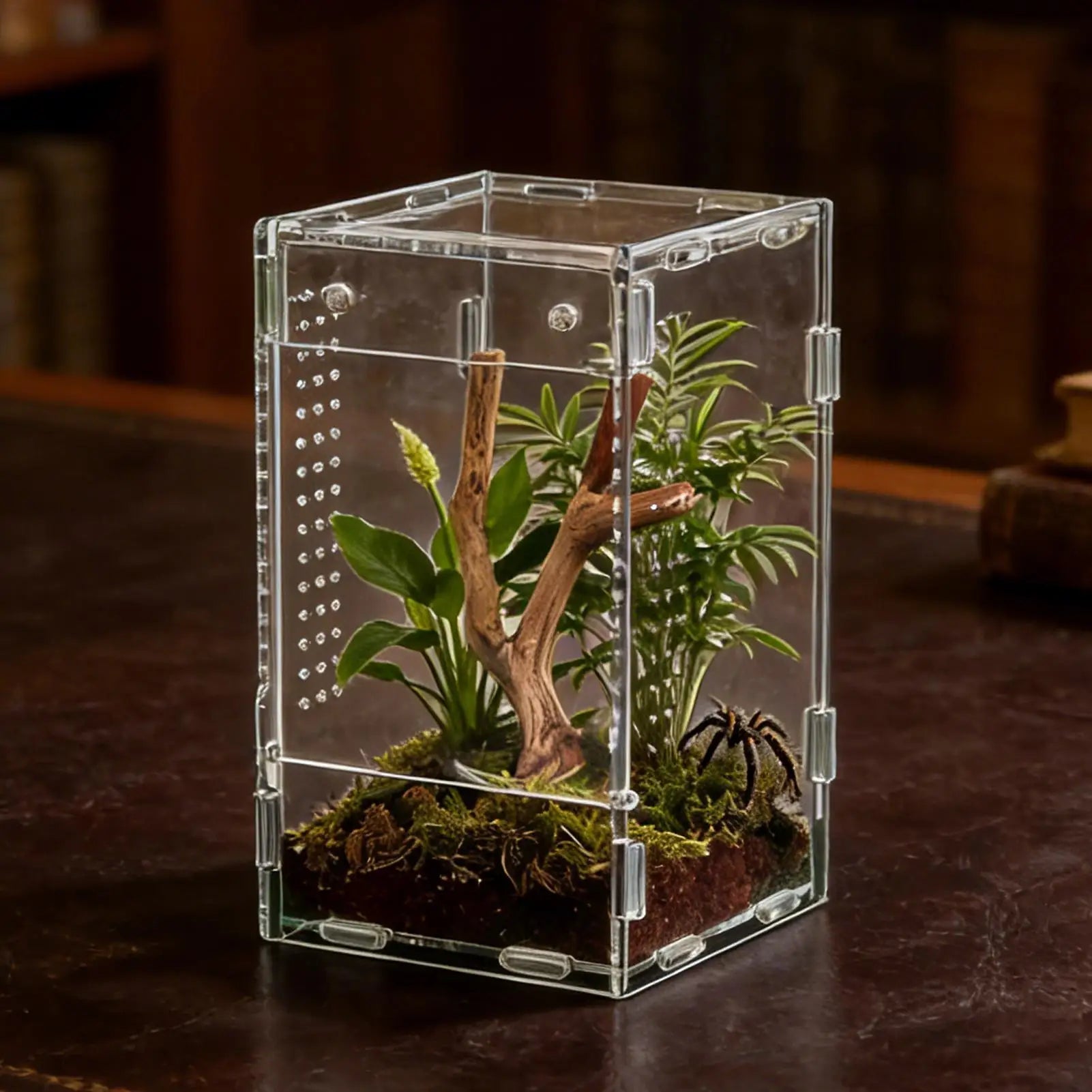 Acrylic Reptile Enclosure for Insects