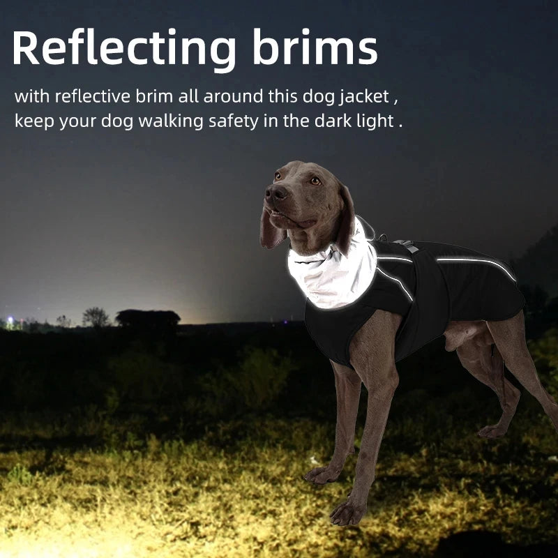 Dog Luxury Winter Jacket for Dogs