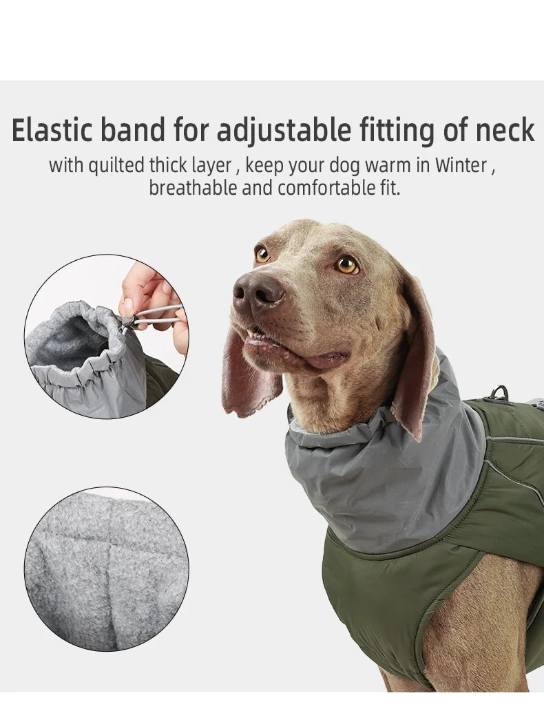 Dog Luxury Winter Jacket for Dogs