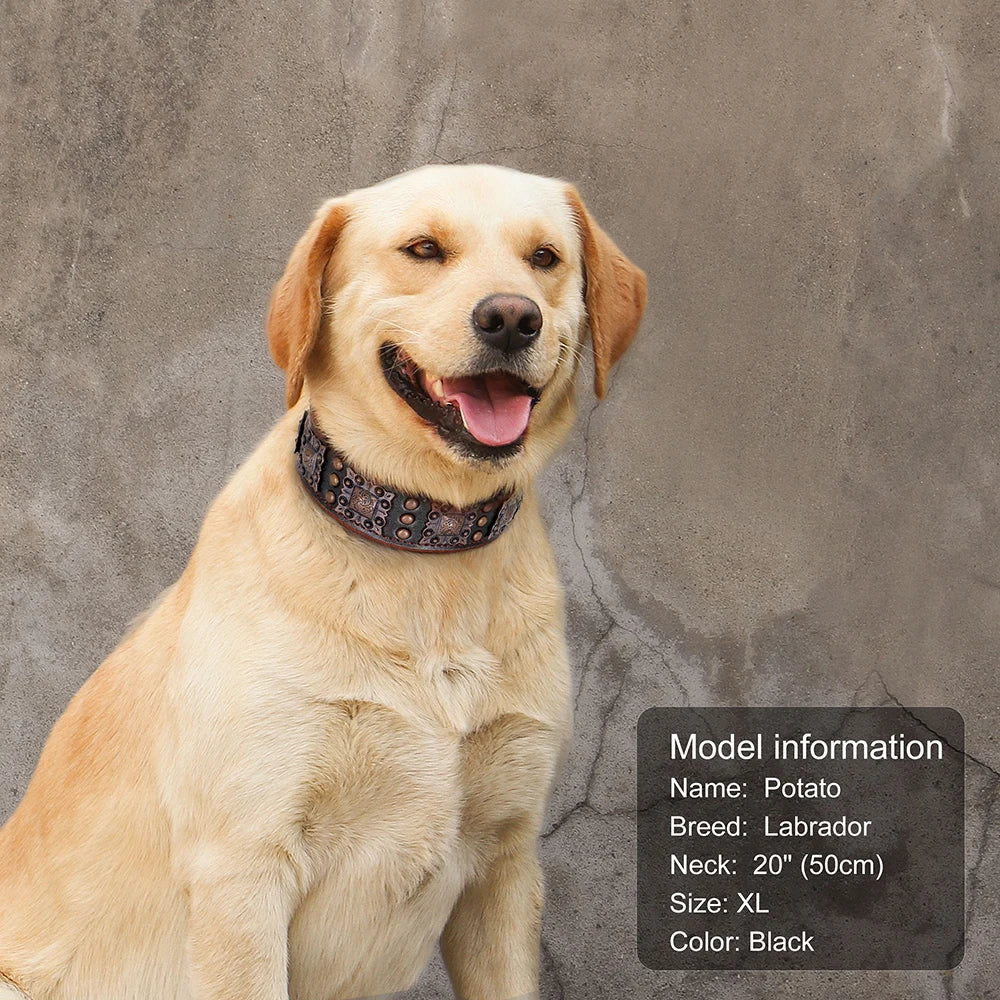 Genuine Leather Cool Spiked Dog Collar
