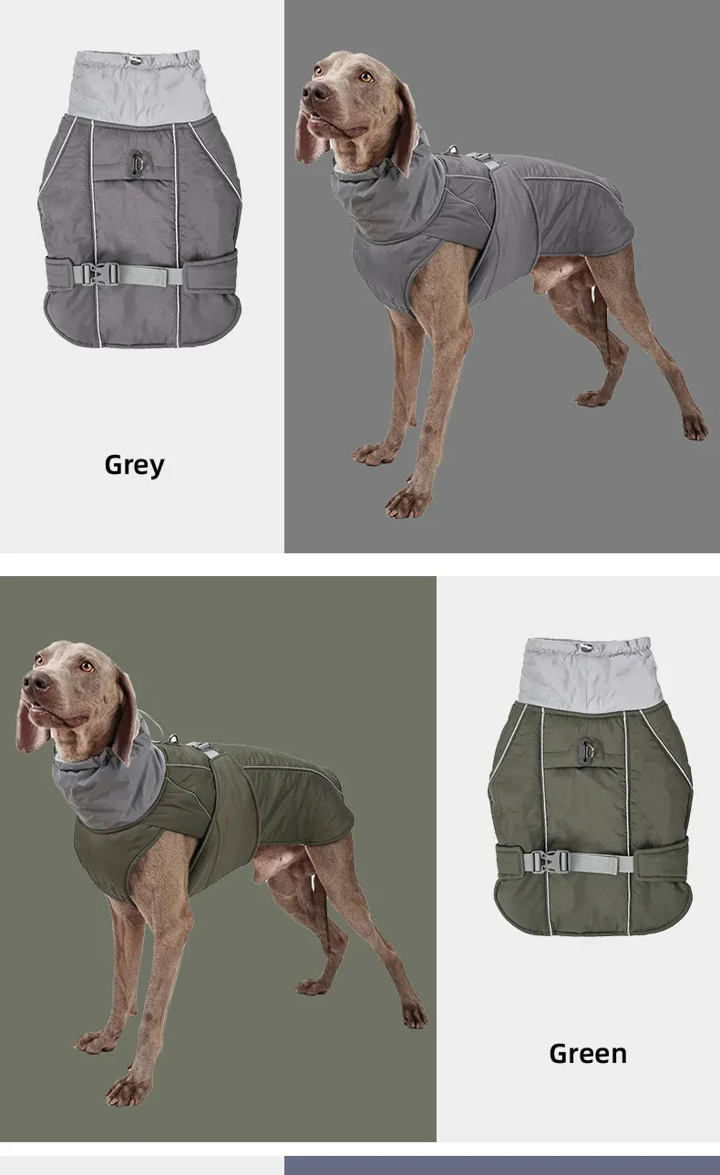 Dog Luxury Winter Jacket for Dogs
