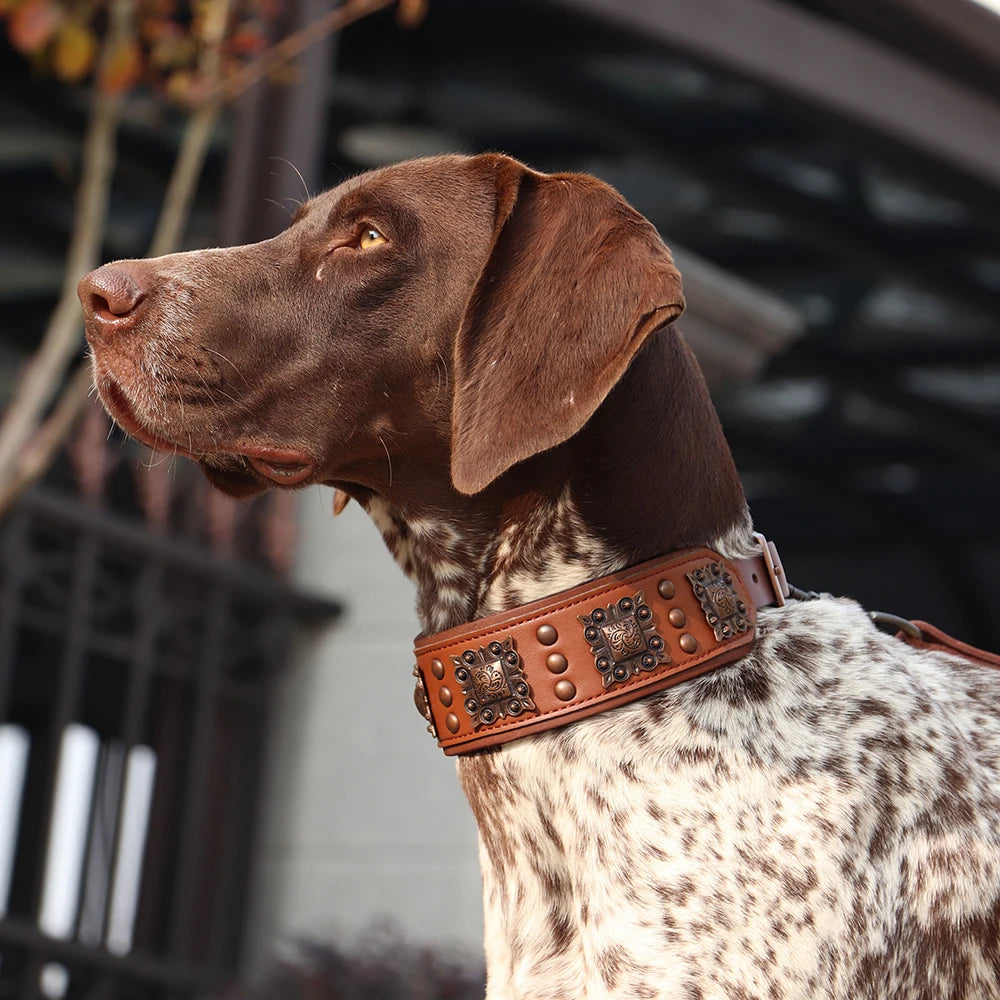Genuine Leather Cool Spiked Dog Collar