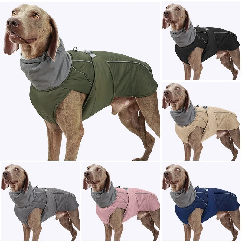 Dog Luxury Winter Jacket for Dogs