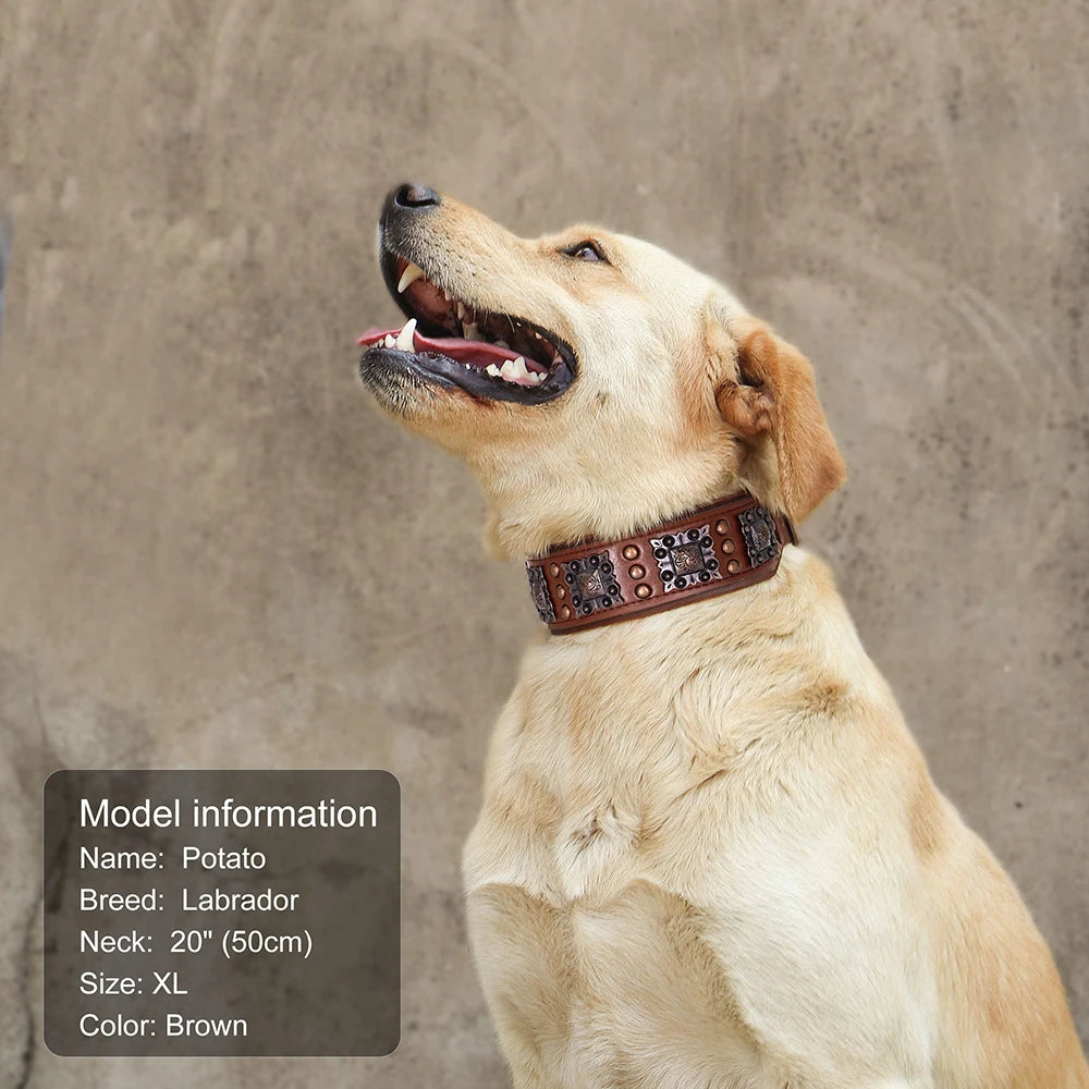 Genuine Leather Cool Spiked Dog Collar