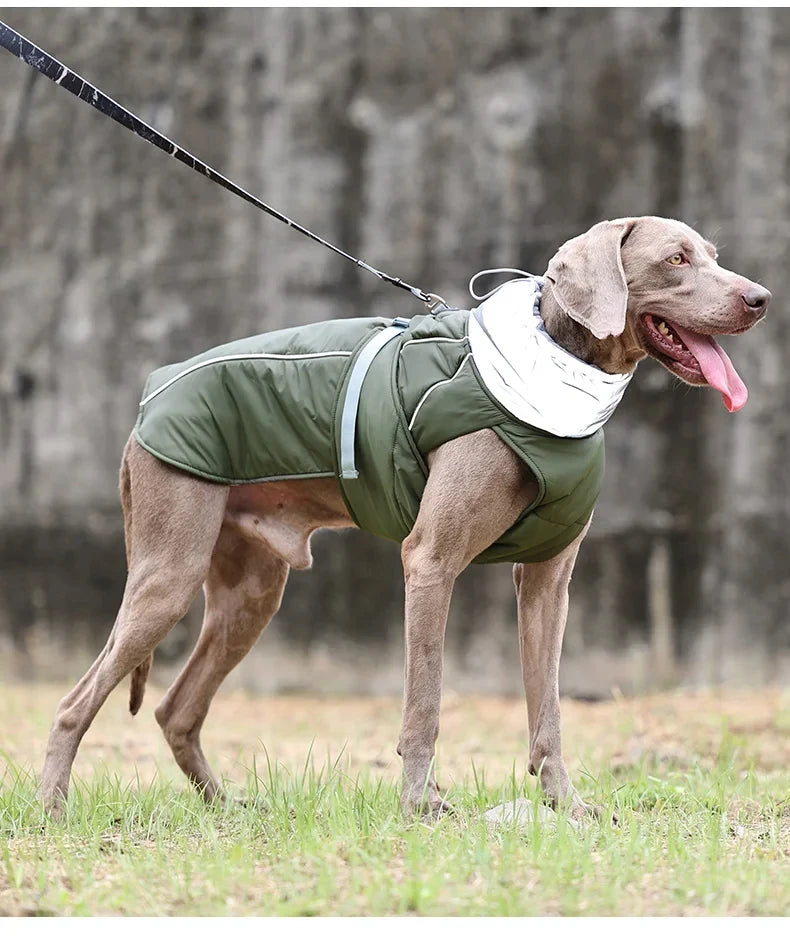Dog Luxury Winter Jacket for Dogs