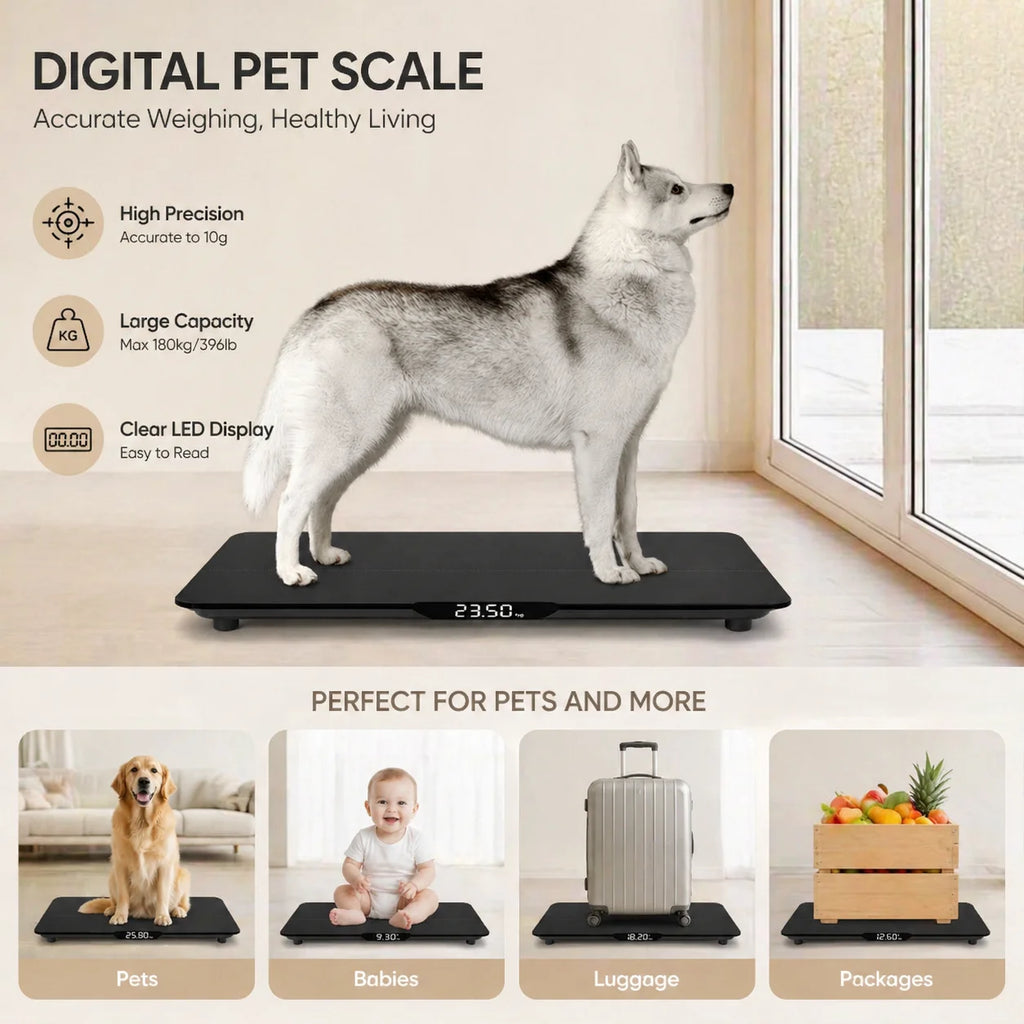 Black Digital Pet Scale for Dogs